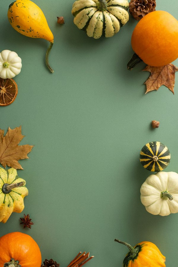 Welche Beleuchtungskonzepte sorgen für ein angenehmes Ambiente in einer offenen Wohnküche?