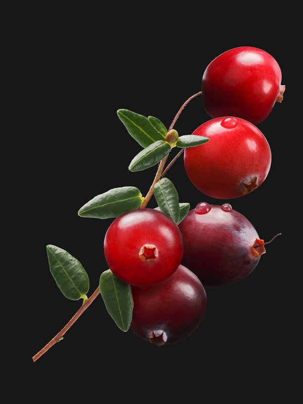 Wie kann man mit Layering-Techniken einen Look für alle Jahreszeiten kreieren?